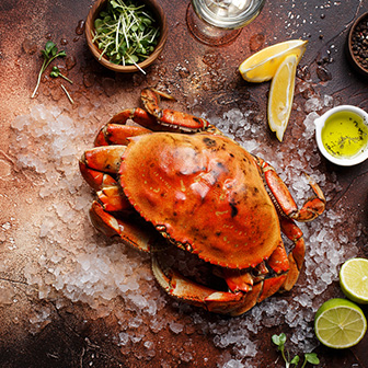 L039Océan Et Ses Saveurs Poissonnier Shutterstock 1469623490