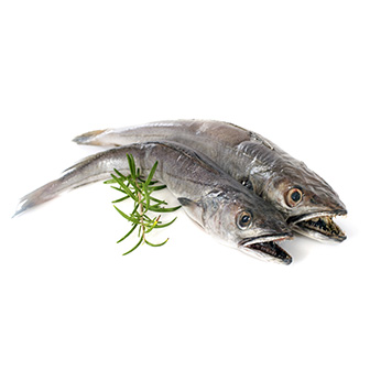 L039Océan Et Ses Saveurs Poissonnier Shutterstock 230310841
