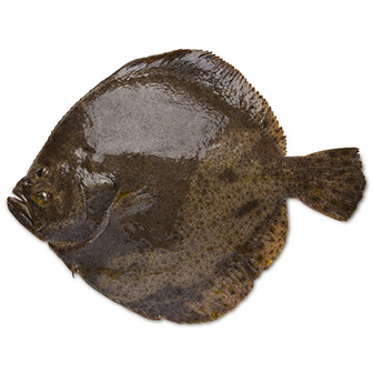 L039Océan Et Ses Saveurs Poissonnier Shutterstock 593761154